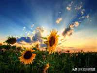 南京竹山文化传媒有限公司
