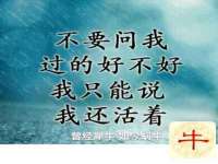 南京竹山文化传媒有限公司