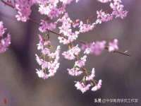 南京竹山文化传媒有限公司