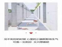 南京竹山文化传媒有限公司