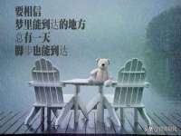 南京竹山文化传媒有限公司