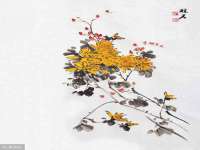 南京竹山文化传媒有限公司