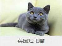 南京竹山文化传媒有限公司