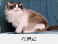 南京竹山文化传媒有限公司