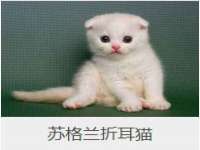 南京竹山文化传媒有限公司