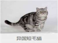 南京竹山文化传媒有限公司