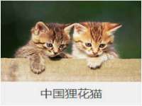 南京竹山文化传媒有限公司