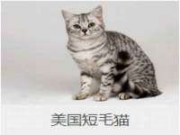 南京竹山文化传媒有限公司