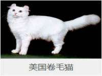 南京竹山文化传媒有限公司