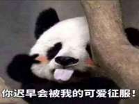 南京竹山文化传媒有限公司