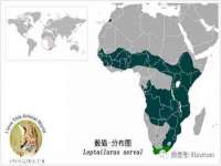 南京竹山文化传媒有限公司