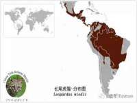 南京竹山文化传媒有限公司