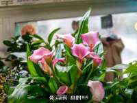 南京竹山文化传媒有限公司