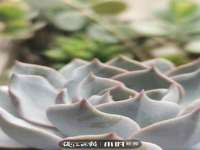 南京竹山文化传媒有限公司