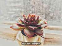南京竹山文化传媒有限公司