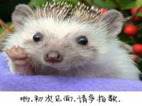 南京竹山文化传媒有限公司