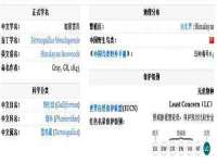 南京竹山文化传媒有限公司