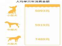 南京竹山文化传媒有限公司