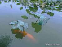 南京竹山文化传媒有限公司