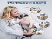 南京竹山文化传媒有限公司