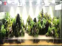 南京竹山文化传媒有限公司