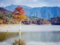 南京竹山文化传媒有限公司
