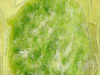 南京竹山文化传媒有限公司
