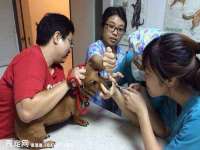 南京竹山文化传媒有限公司