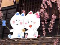 南京竹山文化传媒有限公司