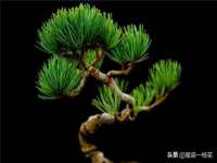 南京竹山文化传媒有限公司