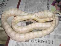 南京竹山文化传媒有限公司