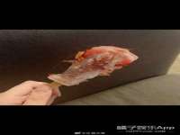 南京竹山文化传媒有限公司